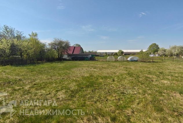 Фото Участок в частной собственности 11.7 соток в д. Подбережье — 5