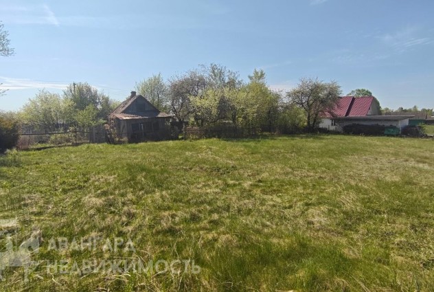 Фото Участок в частной собственности 11.7 соток в д. Подбережье — 7