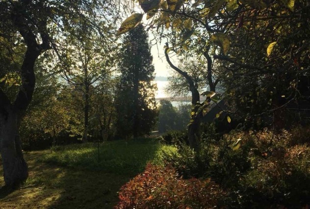 Фото Продажа дома на берегу озера д. Гуры — 25