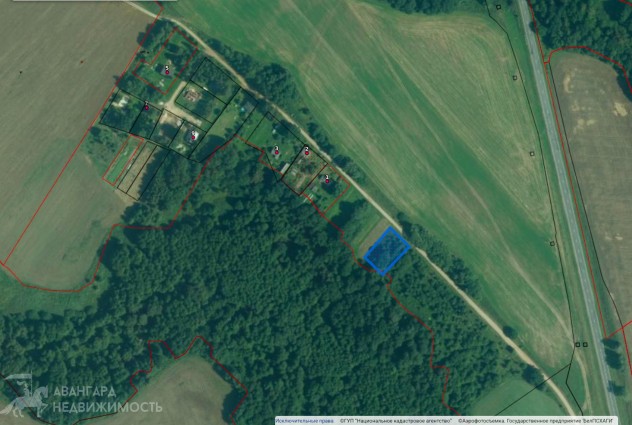 Фото Продажа участка в д. Каменка в 35 км от Минска — 1