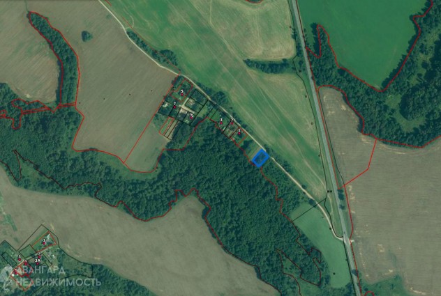 Фото Продажа участка в д. Каменка в 35 км от Минска — 3