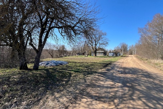 Фото Продажа участка в д. Каменка в 35 км от Минска — 5
