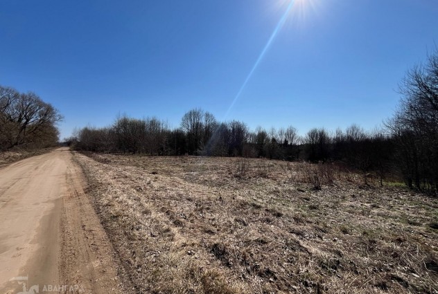 Фото Продажа участка в д. Каменка в 35 км от Минска — 7