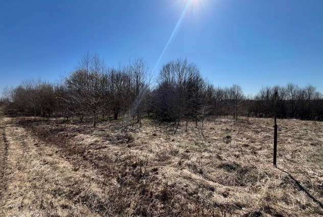 Фото Продажа участка в д. Каменка в 35 км от Минска — 9