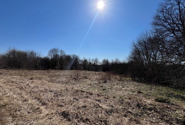 Фото Продажа участка в д. Каменка в 35 км от Минска — 13