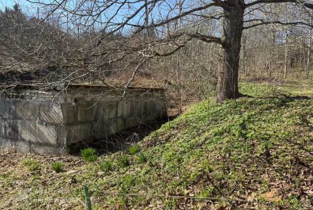 Фото Продается участок с домом в СТ «Родники-1» — 7