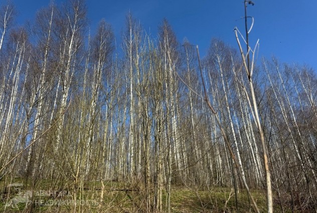 Фото Продается участок с домом в СТ «Родники-1» — 11