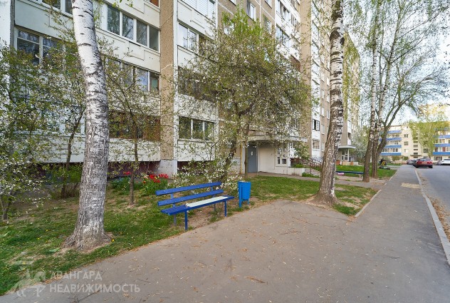 Фото Продается 3-х комнатная квартира возле метро Неморшанский сад — 47