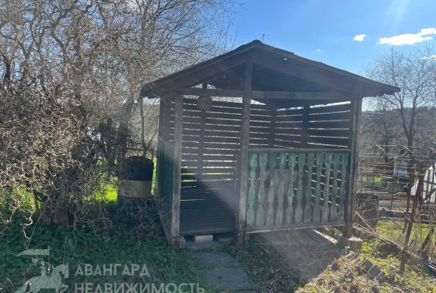 Фото Продается дача в СТ «Ромашка-Соломареченская». (Минский р-н, Минская область) — 11