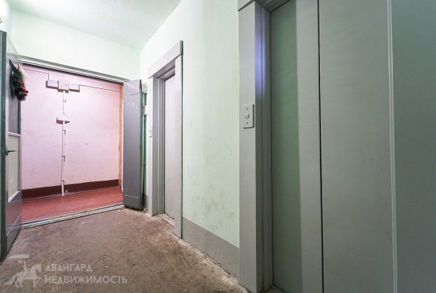 Фото Продажа участка в д. Каменка в 35 км от Минска — 47