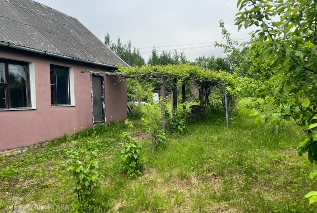 Фото Продаётся дача в 40 км. от МКАД — 3