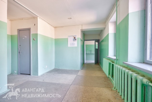 Фото 1-к квартира в шаговой доступности до м. Могилёвская, Шоссейная, 17! — 23