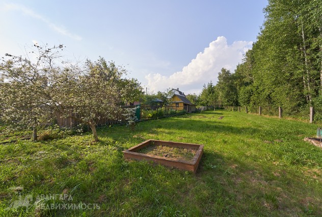 Фото Продается дача с большим участком в СТ «Динамовец» — 21