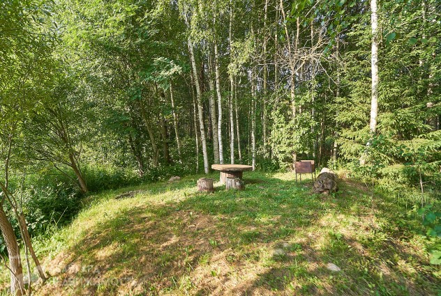 Фото Продается дача с большим участком в СТ «Динамовец» — 25