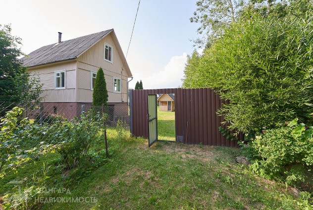 Фото Продается дача с большим участком в СТ «Динамовец» — 3