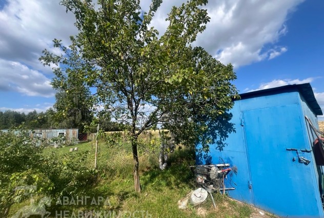 Фото Продаётся уютный домик в с/т Мотовело-Новое Село! — 43