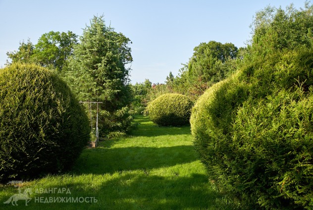 Фото Продается уникальный дом у озера, Витебская обл., д. Шанторовщина — 15