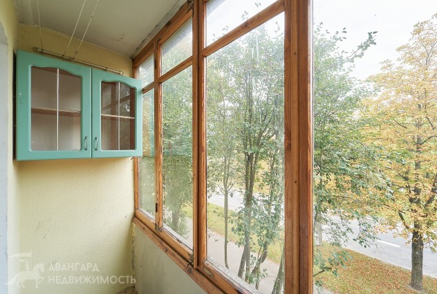 Фото Рядом метро, а окна выходят на парк — 13
