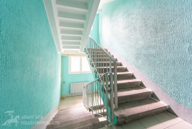 Фото Рядом метро, а окна выходят на парк — 35
