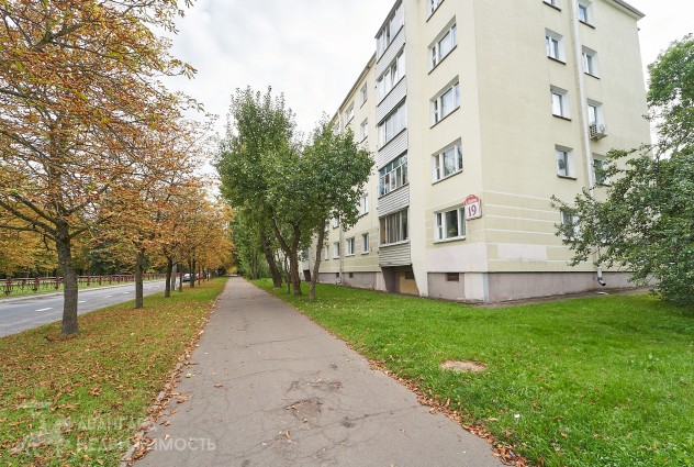 Фото Рядом метро, а окна выходят на парк — 37