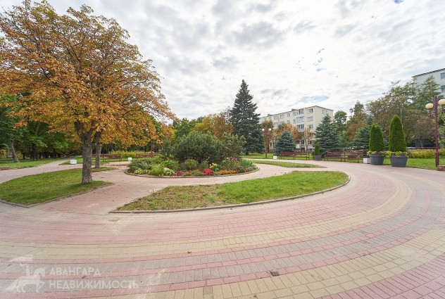 Фото Рядом метро, а окна выходят на парк — 41