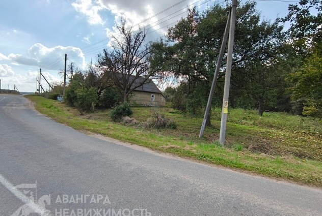 Фото Продажа дома д. Старина столбцовский рн — 13