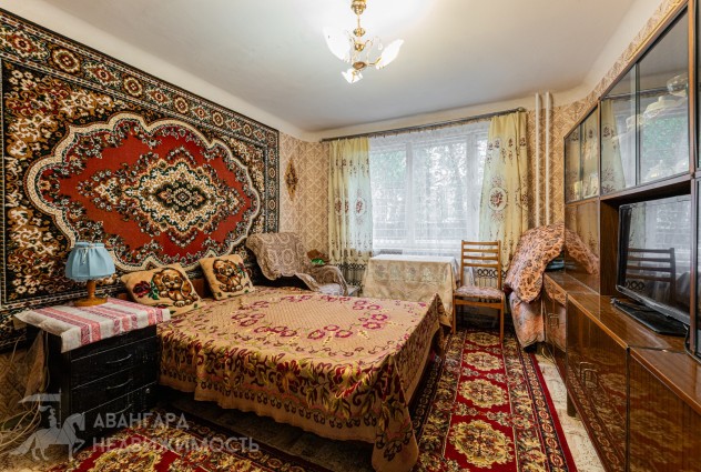 Фото «Вы это искали!». — 5