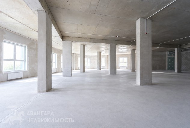 Фото Аренда торгового помещения 470 м.кв. в Центральном р-не — 7