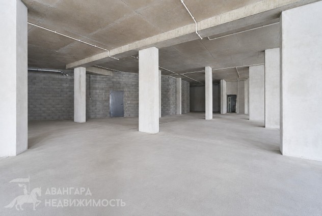 Фото Аренда торгового помещения 470 м.кв. в Центральном р-не — 13