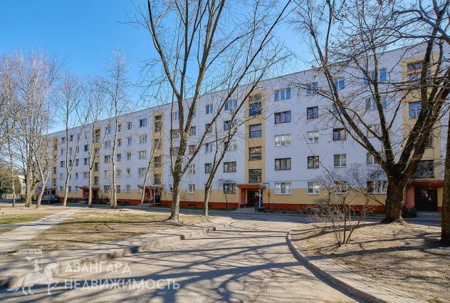 Фото Однокомнатная квартира в центре с ремонтом — 49