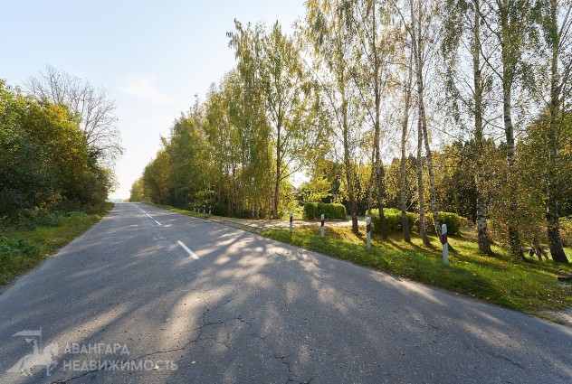 Фото Уютный дом в окружении зелени в д. Птичь. — 87