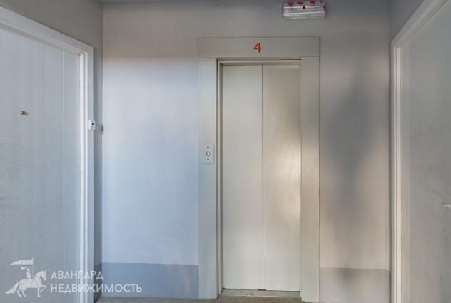 Фото Просторная 3-комнатная квартира  рядом с метро Каменная горка  — 43