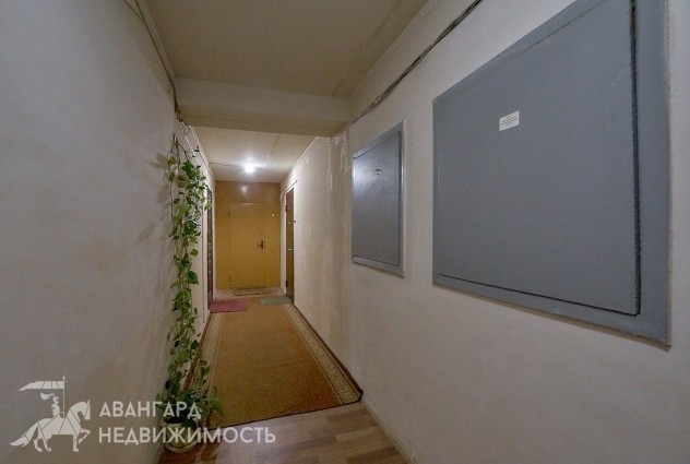 Фото 1-комнатная квартира, кирпичный дом, 2 остановки до м. Каменная горка — 29