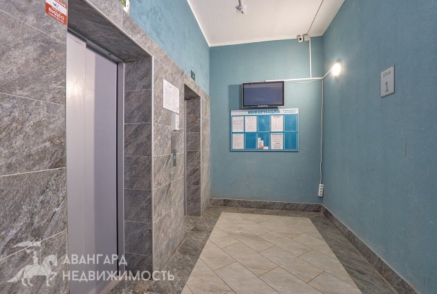 Фото 1-комнатная квартира у Киевского сквера 2017 года! — 31