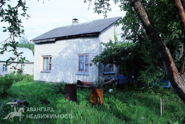 Фото Дача в 7 км от Минска. СТ «Трактор» — 1