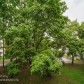 Малое фото - Поиски закончены! Двушка с ремонтом.  — 46