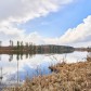 Малое фото - Участок у векового дуба, рядом с озером Дички — 6