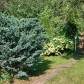 Малое фото - Продается участок в СТ «Узборье» в живописном месте, Логойское направление. — 22