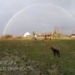 Малое фото - Продается участок СТ «Ручеек» 17 км от МКАД — 8