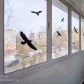 Малое фото - 2-комнатная квартира с ремонтом и мебелью в Степянке.  — 28