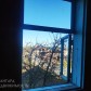 Малое фото - Продается дача в СТ Залесье. — 48