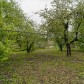 Малое фото - Дом аг Слобода, в 35 км от МКАД. Смолевичский р-н — 10