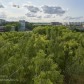 Малое фото - 2-комнатная квартира в Фрунзенском районе   — 32