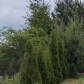 Малое фото - Продается просторный коттедж — 26