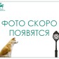 Малое фото - Помещение 103 м² с отдельным входом (метро “Молодежная”) — 4