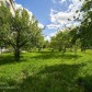 Малое фото - Продажа дома в уединенном месте — 18