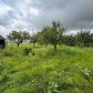 Малое фото - Продается дом в д. Невязцы, Слуцкое направление  — 32