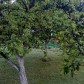 Малое фото - Садовый дом с участком в СТ Соловушка в 15 км от МКАД — 12