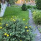 Малое фото - Продается 2-х этажный деревянный дом в СТ «Лувр» — 50