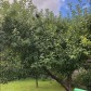 Малое фото - Уютный ухоженный 2-х этажный дом с ухоженным участком — 78